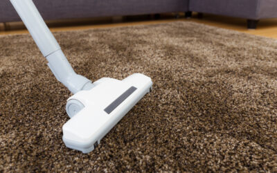 Expert Carpet Cleaning Solutions in Dartford Explained