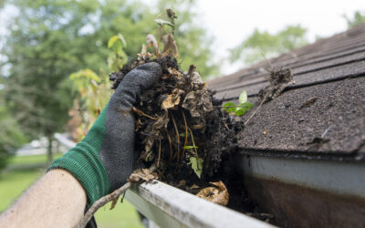 Mastering Gutter Cleaning Techniques in Dartford